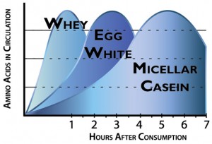 So sánh thời gian hấp thụ giữa đạm Whey và đạm Casein khi nào cơ thể